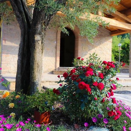 Agriturismo La Tana Città di Castello Exterior photo