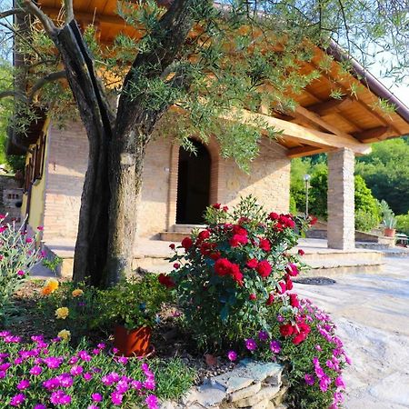 Agriturismo La Tana Città di Castello Exterior photo