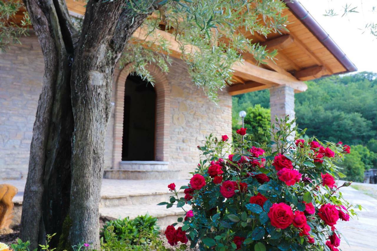 Agriturismo La Tana Città di Castello Exterior photo