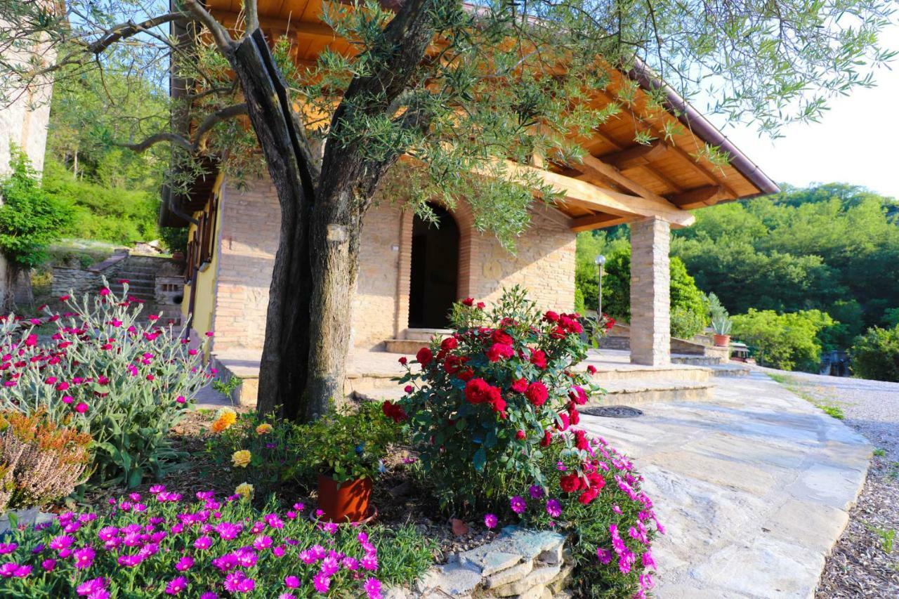 Agriturismo La Tana Città di Castello Exterior photo